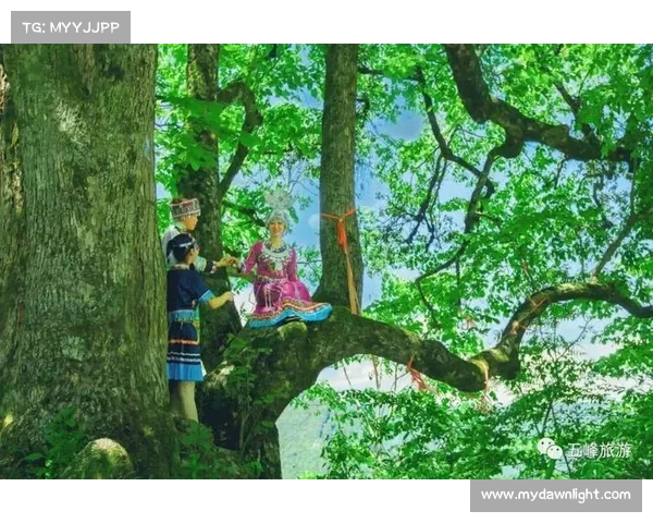 桃源胜境指引：桃园游戏全攻略解谜